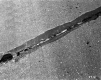 Wilber Overpass Route 2 Sealed Crack Close Up