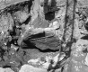 Chain around Rock