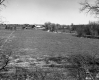 Grassy Field