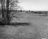 Grassy Field