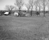 Houses in Field