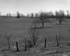 Wire Fence and Field