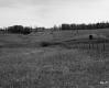 Hills with Fence