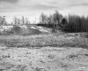 Grassy Field