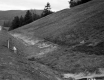 Grassy Slope