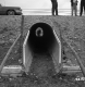 Cattle Underpass