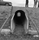 Cattle Underpass