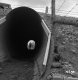 Cattle Underpass