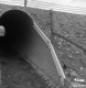 Cattle Underpass