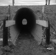 Cattle Underpass