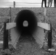 Cattle Underpass