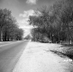 Wooden Fence by Road