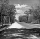 Camp Sites by Paved Road