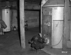 Bussier House, Cellar