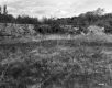Tall Grass and Dirt Hill