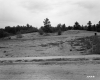 Dirt Area with Wood Poles