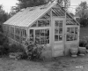 Greenhouse