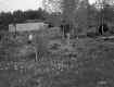 Woman in Garden