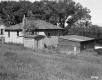 House with Sheds