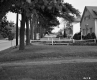 Front Lawns