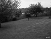 Fenced-In Yard