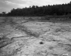 Dirt Ground