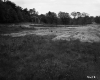 Grass and Dirt Field