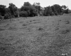 Grassy Slope