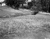 Grassy Field by Road