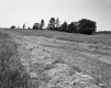 Grassy Hill