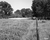 Fence in Field