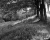 Fence on Slope