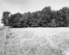 Field Behind Fence