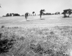 Windy Field