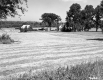 Field and Houses