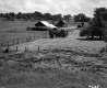 Fields and Houses