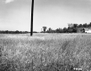 Field in front of House