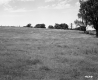 Field and Fences