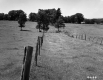 Wire Fence through Field