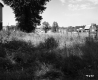 Fence Separating Houses