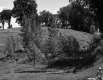 Grassy Slope
