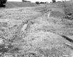 Field