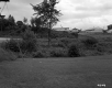 Field behind Houses