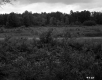 Field with Road