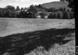 Shade in Field