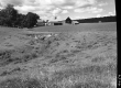 Farm beyond Fence
