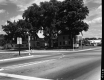 Street Corner