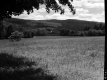 Field by Mountain