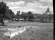 Field with Bare Spots