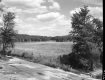 Field Beyond Road